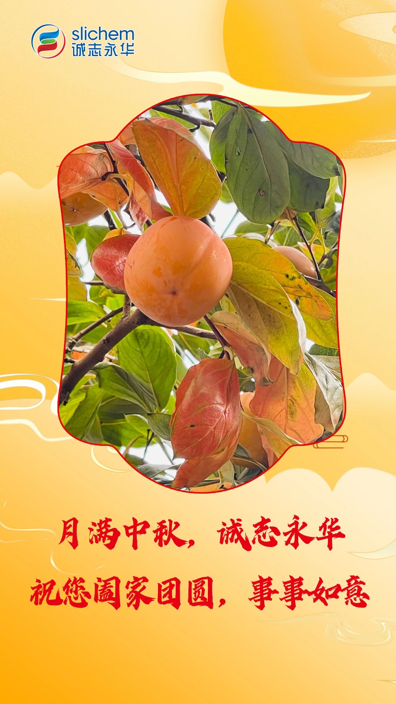 微信图片_2025-12-11_112421_514.jpg