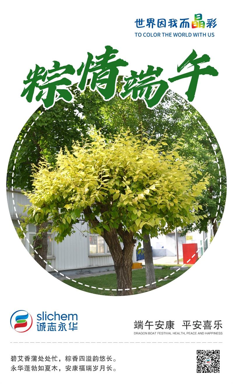 微信图片_2025-09-04_171228_375.jpg