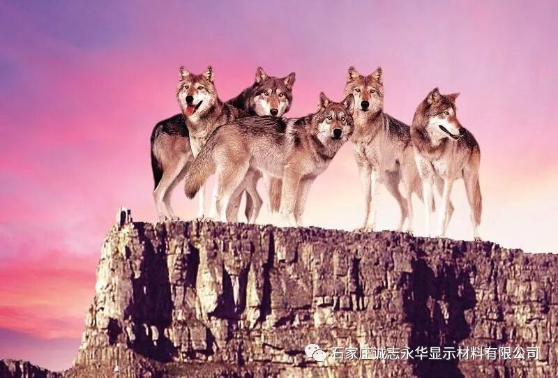微信图片_2025-12-13_101027_095.jpg